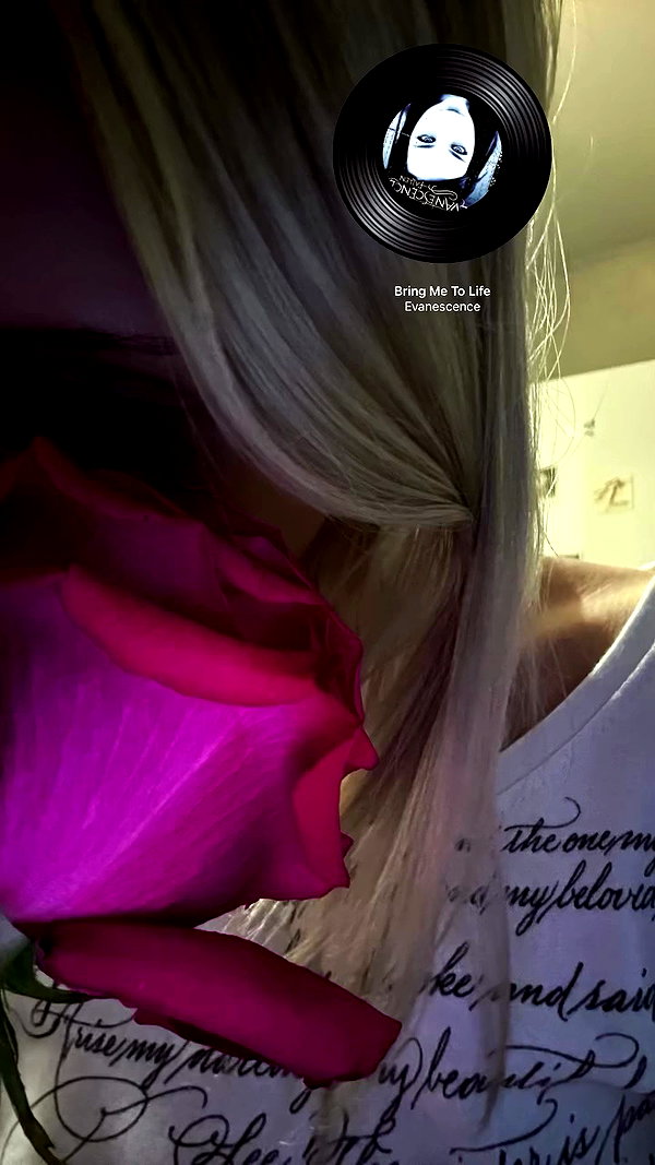 lip.sash archive video preview