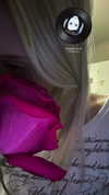 lip.sash Altpins Profile Picture