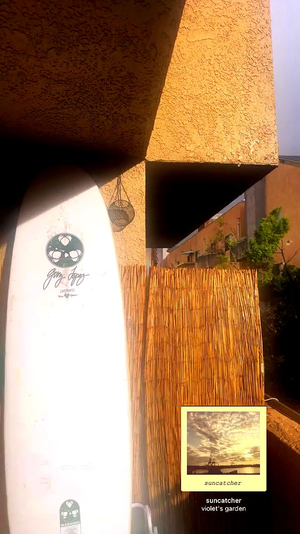 haileylayfield archive video preview