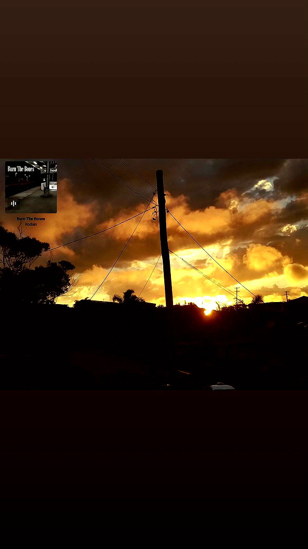 ayliehayward archive video preview
