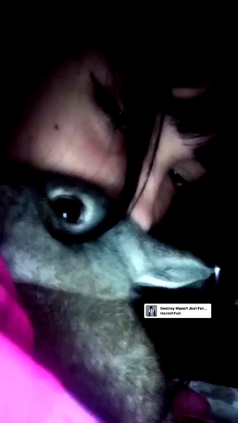 _emi.isk archive video preview