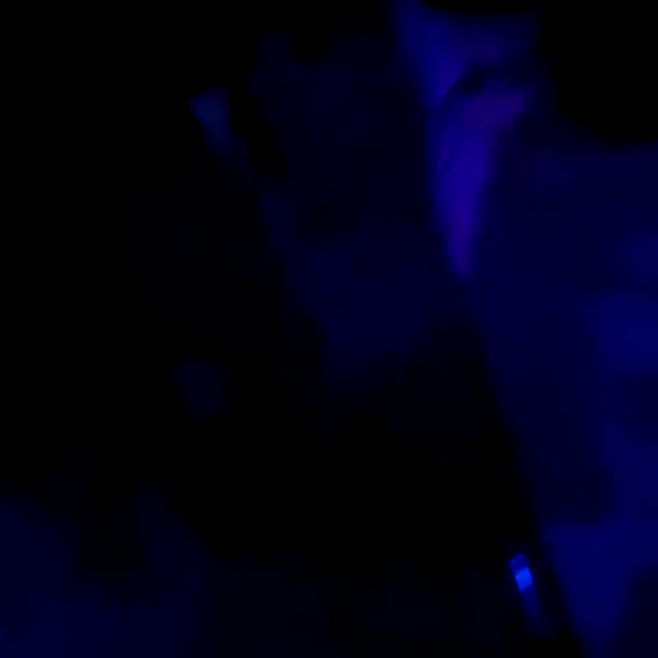 gabs.z.x archive video preview