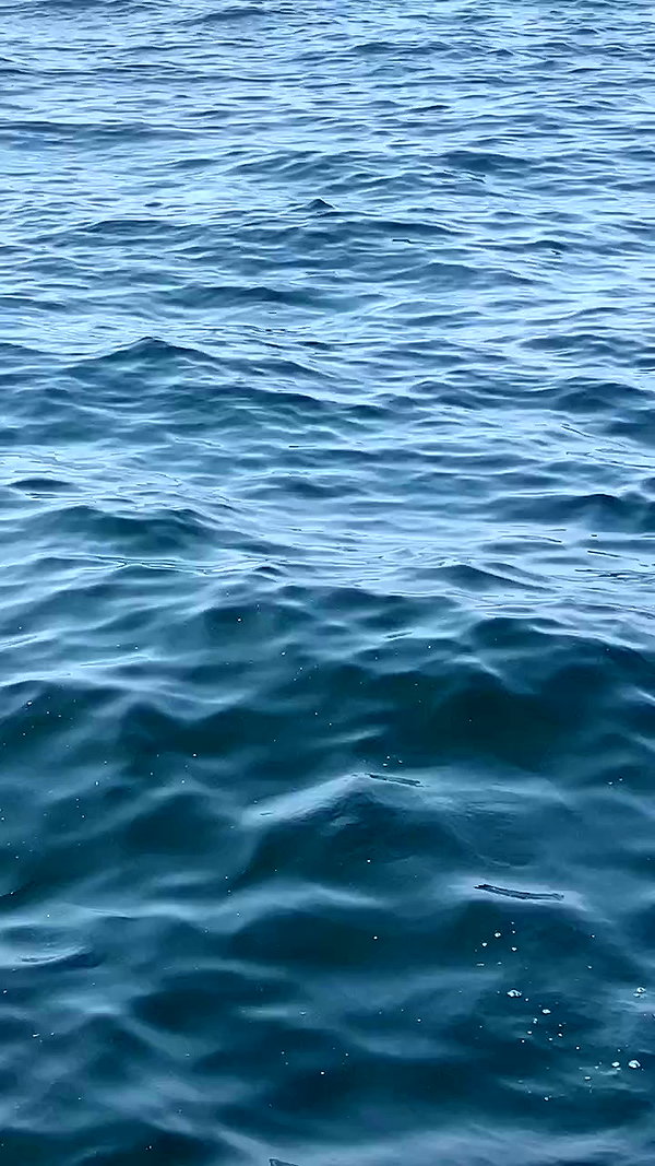 basakerrrrr archive video preview