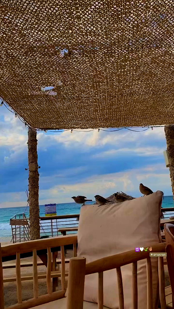 shaharo__._ archive video preview