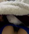 barbie_vampi Altpins Profile Picture