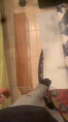 eitan.420 Altpins Profile Picture