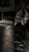 vvelum_ Altpins Profile Picture