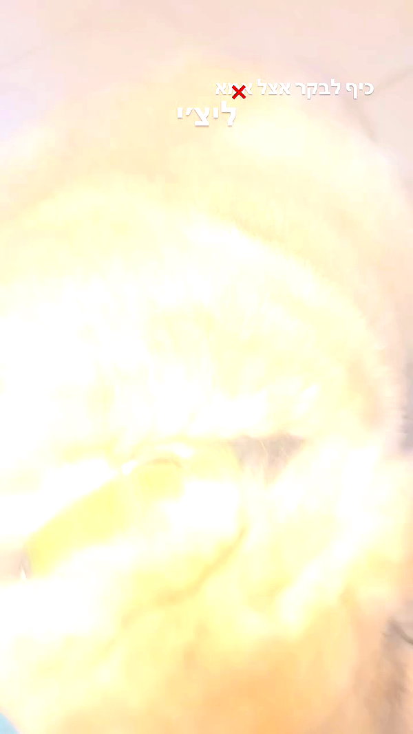 evasela__ archive video preview