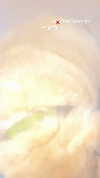 evasela__ Altpins Profile Picture