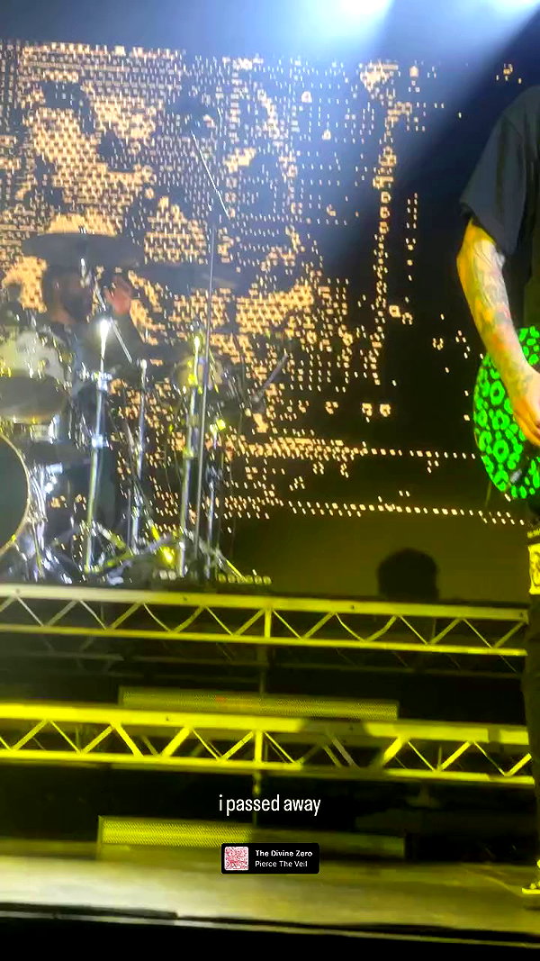 fungusfr0g archive video preview