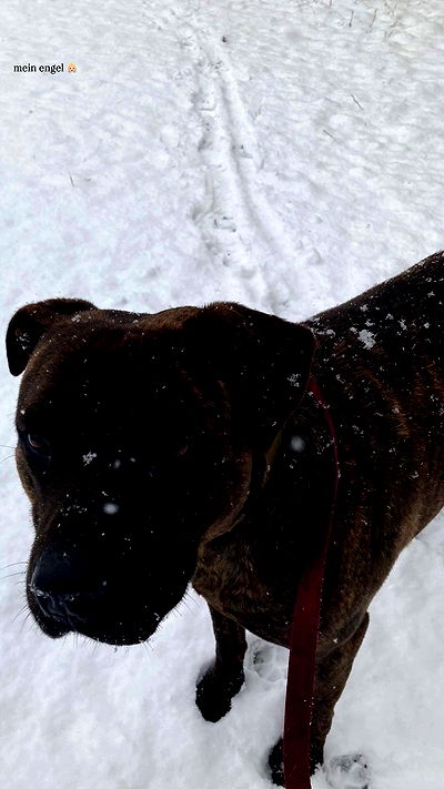 sina.njck sina.njck archive video