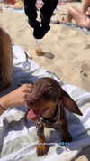 maya.keyy Altpins Profile Picture