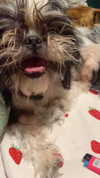 babynympho_archive Altpins Profile Picture