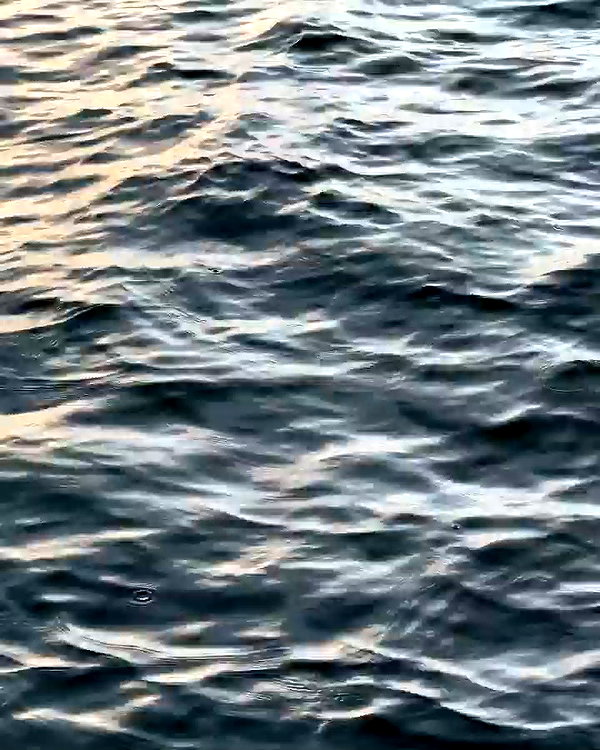 sullivang_ archive video preview