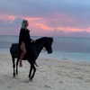 kafelnikova_a Altpins Profile Picture