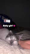 lera.genadenik Altpins Profile Picture