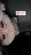 cellow111 Altpins Profile Picture