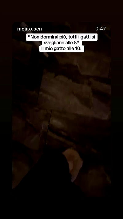 kasumi_sen kasumi_sen archive video