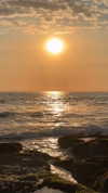 ann.shellll Altpins Profile Picture