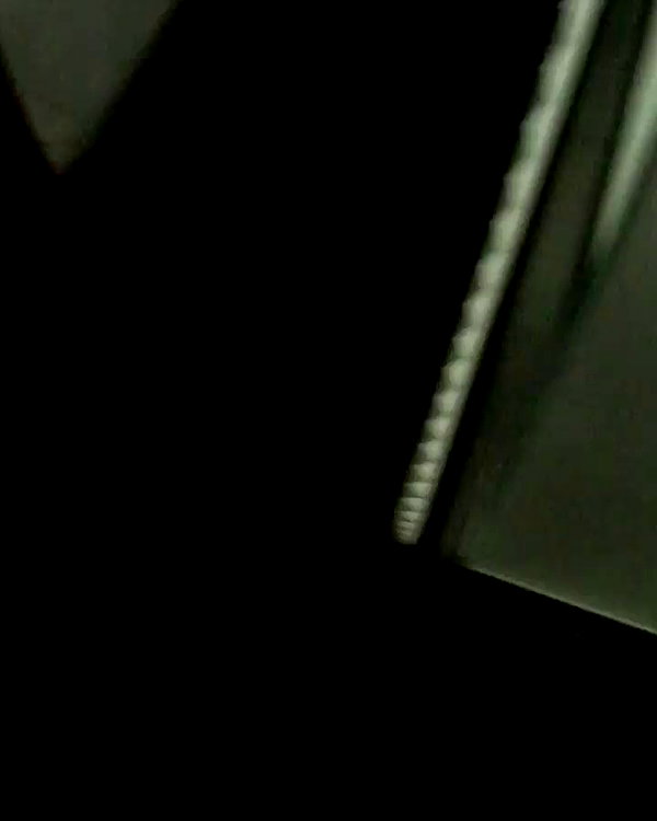barzomer archive video preview