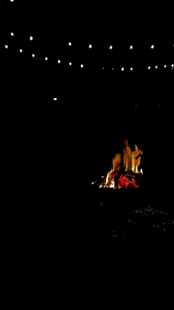 dina_shrago archive video preview
