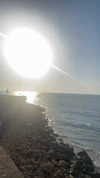 lior_levrun Altpins Profile Picture