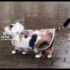 catl0verr69 Altpins Profile Picture