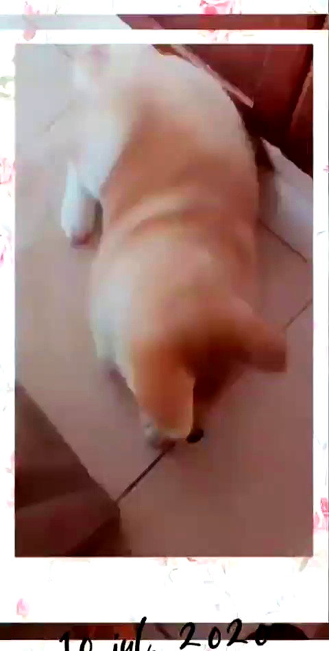 ruth_chavarri archive video preview