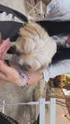elsgatti Altpins Profile Picture