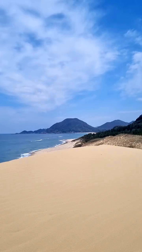 tamarli._ archive video preview