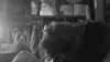 orman.mariee Altpins Profile Picture