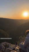 liya.barsky Altpins Profile Picture