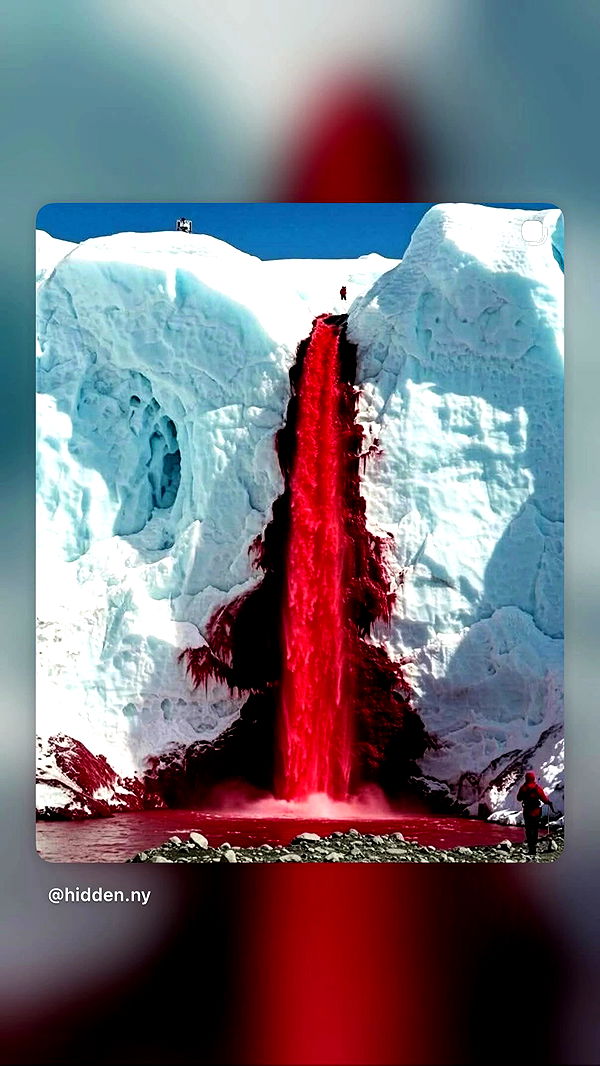 dustheadd archive video preview