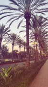livia._.paige Altpins Profile Picture
