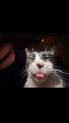 glitterr0ckstar Altpins Profile Picture