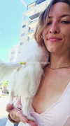 tinapavlov.sky Altpins Profile Picture