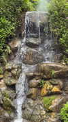 swfx_real Altpins Profile Picture