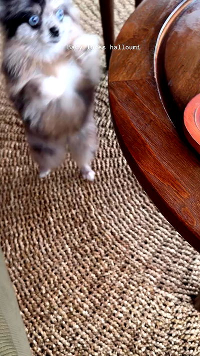 taylor.creeden taylor.creeden archive video