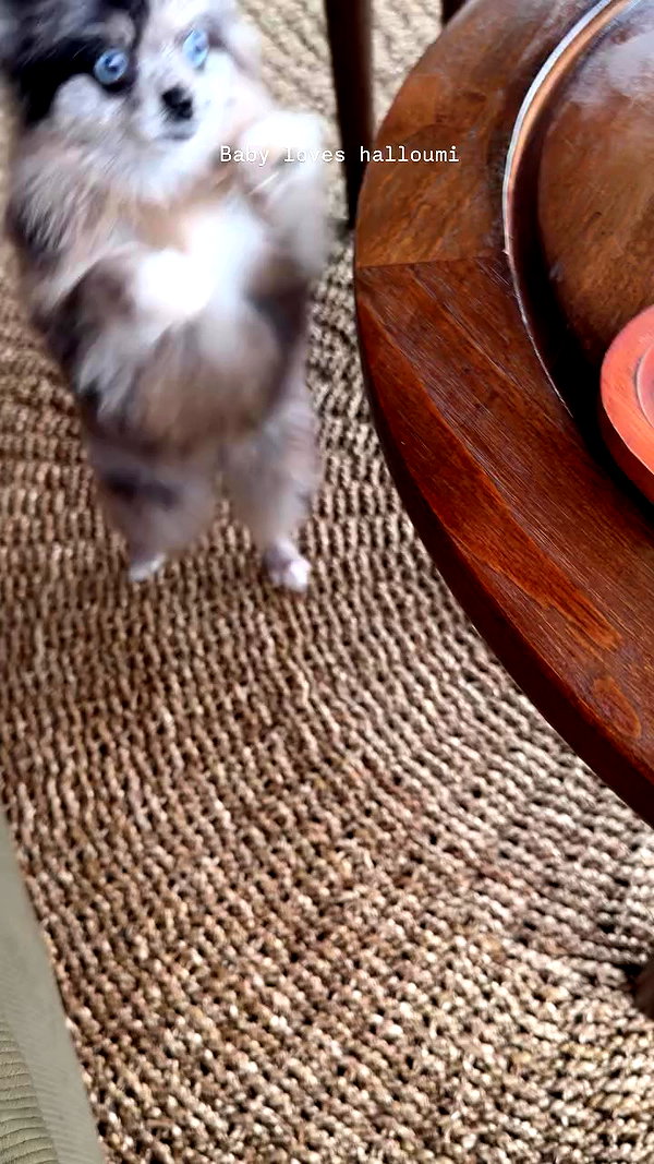 taylor.creeden archive video preview