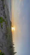 livindeadyaz Altpins Profile Picture
