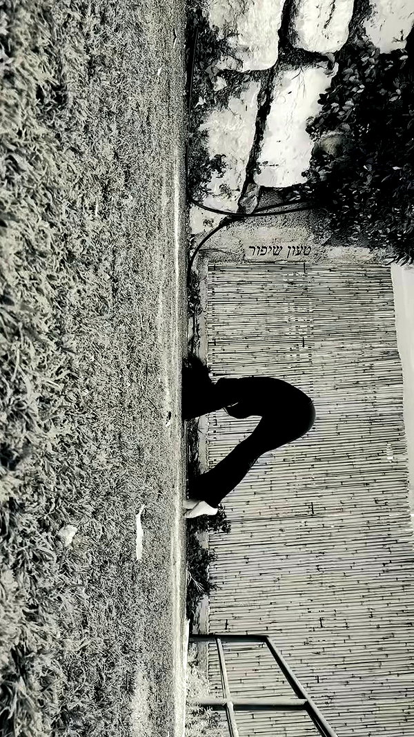 hadas_mayer_ archive video preview