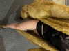 daryanedarya Altpins Profile Picture