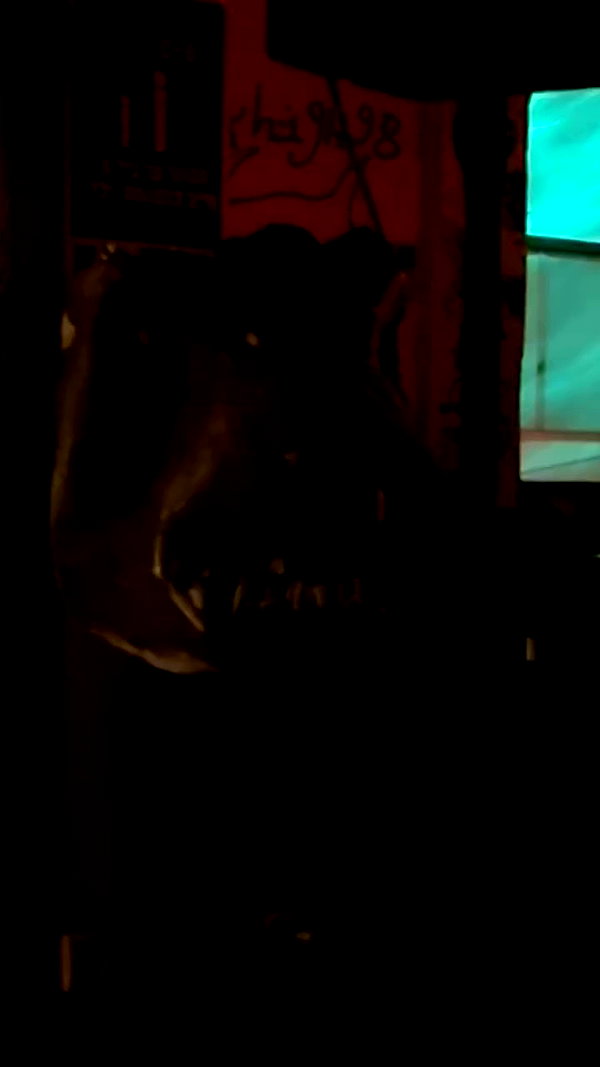 shayli_or archive video preview
