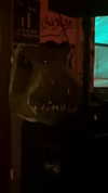 shayli_or Altpins Profile Picture