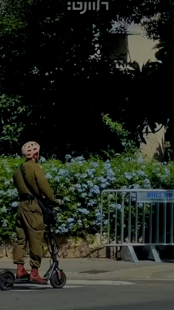 annezivi archive video preview