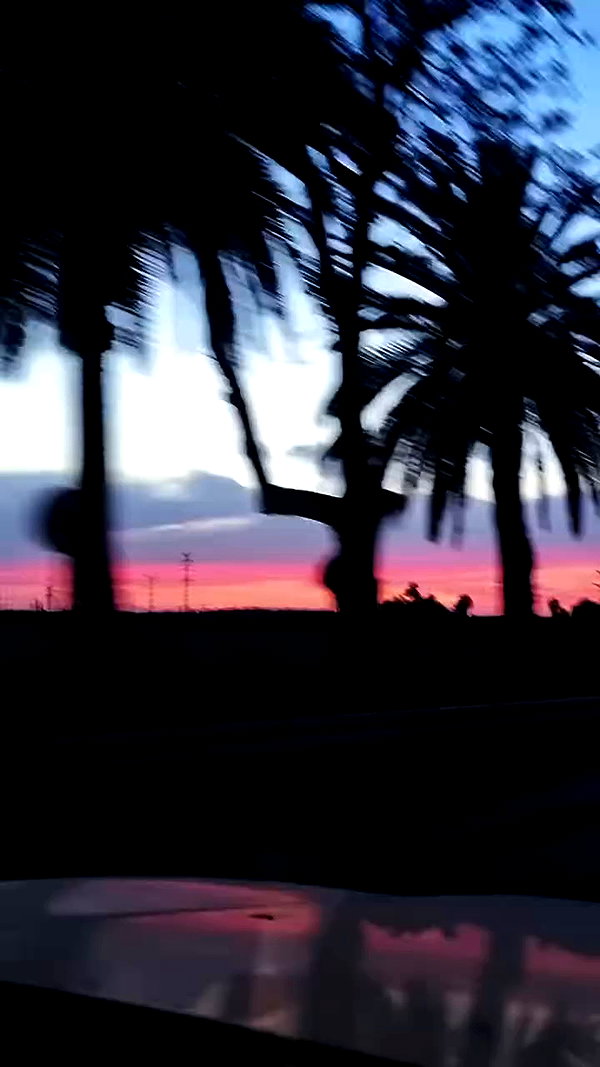 tamarli._ archive video preview