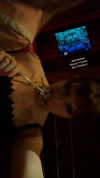 haileylayfield Altpins Profile Picture