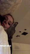 lilih Altpins Profile Picture