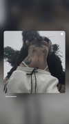 zommmbri Altpins Profile Picture
