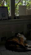 estr3iia Altpins Profile Picture